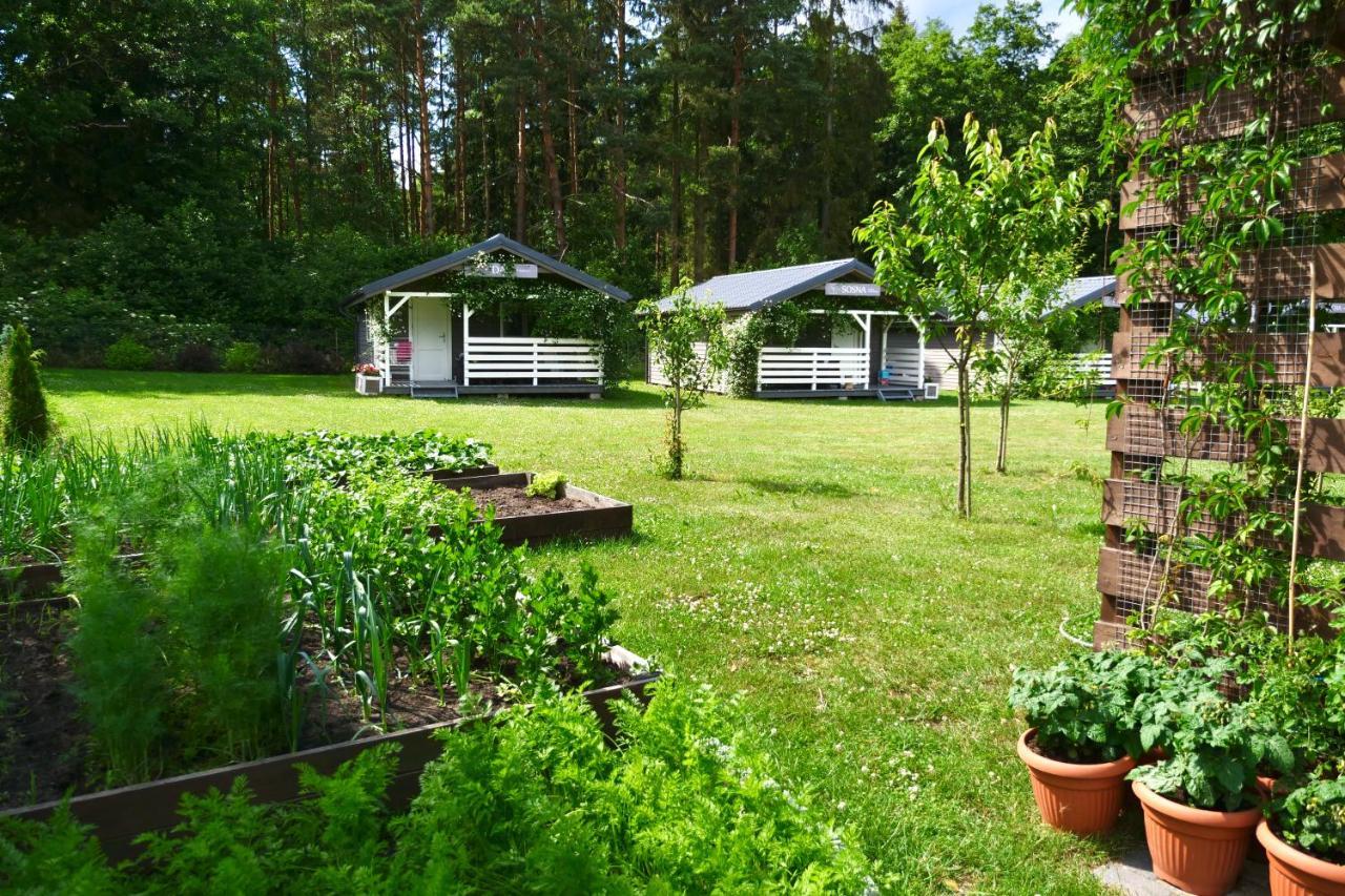 Przylesie21 Villa Ustka Exteriör bild